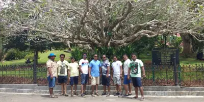 Napier Museum Park Banyan Tree Group