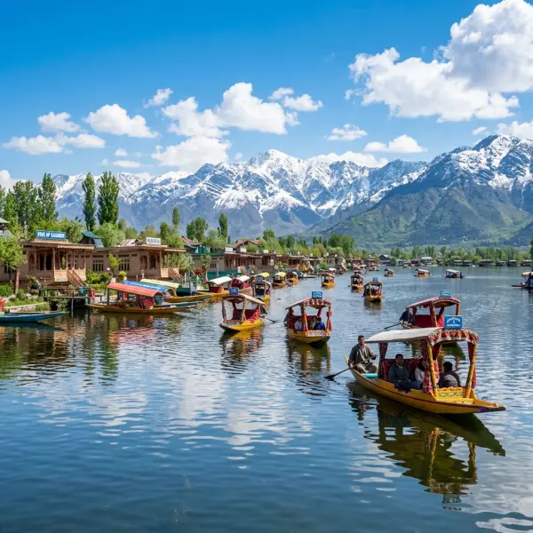 Kashmir Dal Lake Shikara